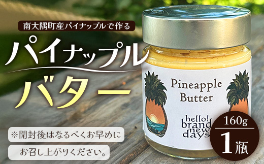 絶品！南大隅町産 パイナップルバター 1瓶 (160g×1個)｜パイナップル バター フルーツ ジャム 加工品 スプレッド 国産 南国フルーツ 手作り 鹿児島県  南大隅町 hello! brand new days　HB-1