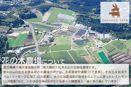 花の木農場 豚肉 ハンバーグ セット （100g×3個×6P） HK-4｜ 冷凍 ハンバーグ パック 豚肉 国産 ひき肉 お弁当 おかず 惣菜 手作り 農福連携 鹿児島県 南大隅町 第2花の木ファーム