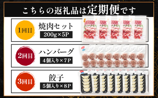 【定期便全3回】ひかり麦豚 わんぱく定期便 ≪月替わりで焼肉・ハンバーグ・餃子をお届け！≫ 冷凍 HM-10 | 肉 お肉 にく 豚肉 焼き肉 ロース肉 肩ロース バラ肉 ハンバーグ ギョウザ ぎょうざ 真空冷凍 産地直送 小分け パック 手作り 鹿児島県 南大隅町 ひかり麦豚直売所