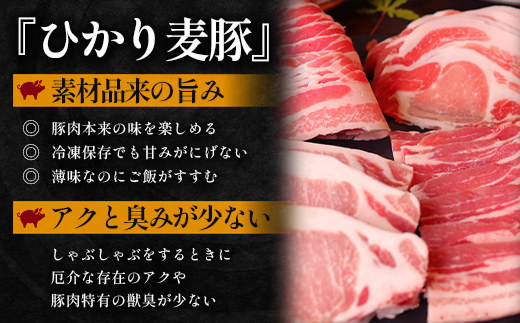 【定期便全3回】ひかり麦豚 プレミアム定期便 ≪月替わりでしゃぶしゃぶ・焼肉・ハンバーグをお届け！≫ 冷凍 HM-11 | 精肉 お惣菜 肉 お肉 にく 豚肉 焼き肉 バーベキュー ロース肉 肩ロース バラ肉  真空冷凍 産地直送 小分け パック 手作り 鹿児島県 南大隅町 ひかり麦豚直売所