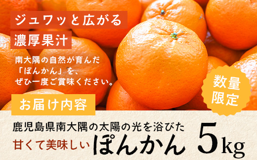 【先行予約】南大隅の太陽浴びた甘くて・おいしい ぽんかん 約5kg【2026年1月中旬以降順次発送】 ID-1 ｜ぽんかん ポンカン 柑橘 甘い 果物 新鮮 産地 直送 先行予約 おすすめ 人気 南大隅町
