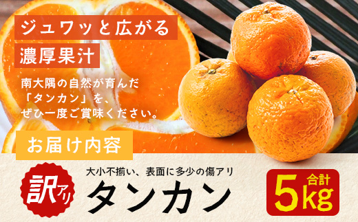 【訳あり】《先行予約》南大隅の太陽浴びた甘くて・おいしい タンカン 約5kg【数量限定】<2026年2月中旬以降順次発送> ID-3｜訳あり 訳アリ たんかん タンカン 柑橘 カンキツ 柑橘類 詰め合わせ 産地直送 先行予約 おすすめ 人気 南大隅町