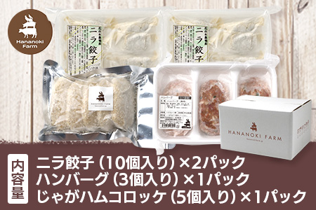 花の木農場【人気惣菜セット】３種 HK-504｜惣菜 餃子 ぎょうざ 冷凍 ハンバーグ ハムコロッケ コロッケ 冷凍 工場直送 簡単調理 国産 厳選 ノウフク 鹿児島県 南大隅町 第2花の木ファーム