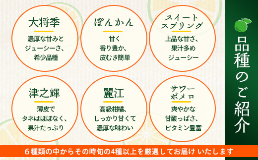 【数量限定】おたのしみ！旬の柑橘詰め合わせセット(４種約５kg) NK-4 ≪2026年1月中旬より準備が出来次第発送≫｜果物 柑橘 大将季 ぽんかん スイートスプリング 津之輝 麗江 サワーポメロ 南大隅町 産地直送 詰め合わせ 5kg 国産 数量限定 