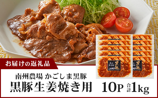 鹿児島県産 黒豚生姜焼きセット（100g×10パック）味付き肉 冷凍 NS-23 | 鹿児島 黒豚 かごしま黒豚 お肉 肉 豚肉 しょうが焼き 焼くだけ 味付き おかず お弁当 加工肉 真空パック 鹿児島県 南大隅町 南州農場