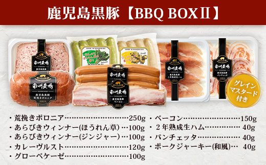鹿児島県産 BBQ-BOX Ⅱ ハム ソーセージ ベーコン 詰め合わせ セット NS-25 | かごしま 黒豚 生ハム ボロニア ウインナー ソース ジャーキー おつまみ バーベキュー 焼き肉 低添加製法 冷蔵 鹿児島県 南大隅町 南州農場