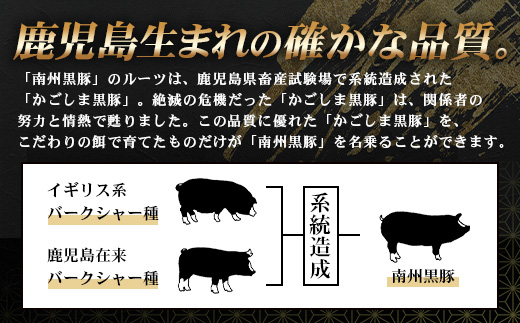 かごしま黒豚５種 贅沢盛り合わせ ( 約1kg ) NS-34 | 豚肉 ぶた セット ５種 冷凍 詰め合わせ 肩ロース ロース バラ もも ももスライス 赤身 脂身 薄切り 部位 焼肉 しゃぶしゃぶ 生姜焼き 家庭料理 炒め物 南大隅町 南州農場
