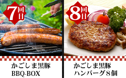 【全12回】至福の かごしま黒豚 味わい定期便 NS-37 | 鹿児島 かごしま 豚 豚肉 ぶた おかず しゃぶしゃぶ 餃子 味噌漬け 生ハム 生姜焼き ハンバーグ ウインナー ハム ソーセージ 焼き豚 切り落とし もも肉 肩ロース バラ 人気 定期便 鹿児島県 南大隅町