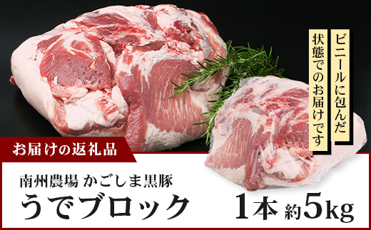 【南大隅町限定】かごしま黒豚 うでブロック（約5.0kg） NS-4 | 肉 豚肉 ぶた 豚 ブタ 黒豚 かごしま黒豚 うで ブロック 新鮮 産地直送 限定 鹿児島県 南大隅町 南州農場