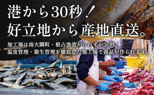 鹿児島県産 アジ 干物 大サイズ (2枚×2パック)  ≪合計4枚≫［1枚 約22～25センチ］PT-2 | 開き 大隅干し 冷凍 国産 鯵 ひもの 海鮮 新鮮 瞬間冷凍 産地直送 鹿児島県 南大隅町 ピットスリー