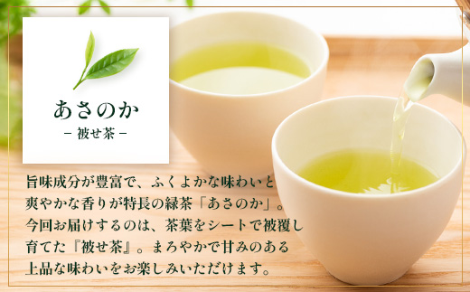 【先行予約】【2026年摘みたて！】ナナ茶 新茶贅沢2種セット 被せ深蒸し茶 さえみどり（80g×1P） ＆ 被せ茶 あさのか（80g×1P）RS-11｜お茶 茶 茶葉 お茶の葉 被せ茶 玉露仕立て 緑茶 高級緑茶 高級 日本茶 鹿児島茶 国産 おしゃれ ブレンド茶 シングルオリジン 被覆栽培 鹿児島県 南大隅町