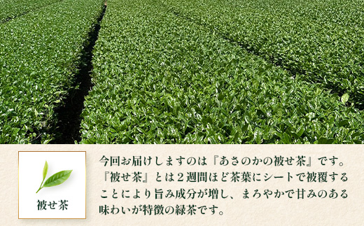 【先行予約】【2026年摘みたて！】新茶 ナナ茶 被せ茶 あさのか 80g×2パック RS-9｜お茶 茶 茶葉 お茶の葉 ケルセチン 緑茶 高級緑茶 高級 日本茶 鹿児島茶 国産 おしゃれ ブレンド茶 シングルオリジン 被覆栽培 鹿児島県 南大隅町 株式会社Re-Shine