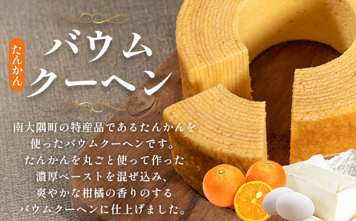 【2026年3月中旬から発送】だいたんな！とろけるスイーツセット & バウムセット（だいたんな詰め合わせ６個＋バウムクーヘン・≪極≫ たんかん）SH-12| たんかん ソース ムース チョコレートムース ショコラ 辺塚だいだい タンカン ゼリー スイーツ フルーツ プリン バウムクーヘン バームクーヘン スイーツ ケーキ 焼き菓子 洋菓子 プレゼント 鹿児島県 南大隅町 31℃LINE花子