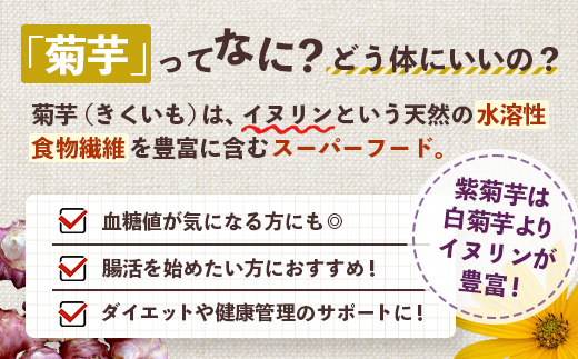 【福袋】紫菊芋たっぷり堪能３種セット SK-16-fb｜ コーヒー 菊芋 紫菊芋 コーヒー パウダー 菊芋せんべ ノンカフェイン 野菜茶 きくいも お茶 焙煎 ギフト グルメ 鹿児島県 南大隅町 島子農園 福袋