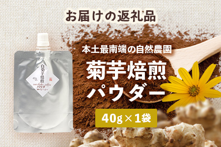 白色菊芋焙煎 パウダー （40g×1袋）SK-3｜ コーヒー 菊芋 パウダー ノンカフェイン 野菜茶 きくいも お茶 焙煎 ギフト グルメ お取り寄せ 鹿児島県 南大隅町 島子農園