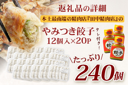 《リピーター続出！》佐多の田中肉屋 ニンニクたっぷりやみつき餃子 240個（12個入り×20パック） 餃子のタレ3本付き TA-2 | ぎょうざ 餃子 ギョウザ 豚肉 ひき肉 にんにく スタミナ餃子 焼くだけ 簡単 小分け 大容量 手作り お惣菜 おかず 冷凍 鹿児島県 南大隅町 田中精肉店