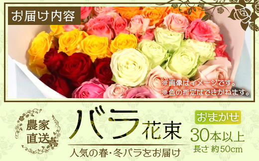 【お歳暮】【人気の春・冬薔薇をお届け】ばら農家直送！バラ花束30本以上お届け(色はおまかせ) 【ギフト対応可】TB-16-os│ローズ 新鮮 花 フラワー 花束 ばら 薔薇 バラ 誕生日 記念日 結婚祝い ギフト プレゼント お祝い 贈り物 贈答 鹿児島県 南大隅町 富田バラ園 お歳暮