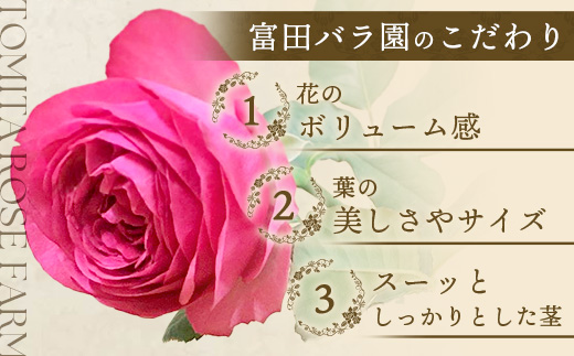 【先行予約・夏季限定 薔薇】ばら農家直送！バラ花束18本以上お届け(色はおまかせ)【ギフト対応可】TB-4│ローズ 新鮮 花 フラワー 花束 ばら 薔薇 バラ 誕生日 記念日 結婚祝い ギフト プレゼント お祝い 贈り物 贈答 鹿児島県 南大隅町 富田バラ園