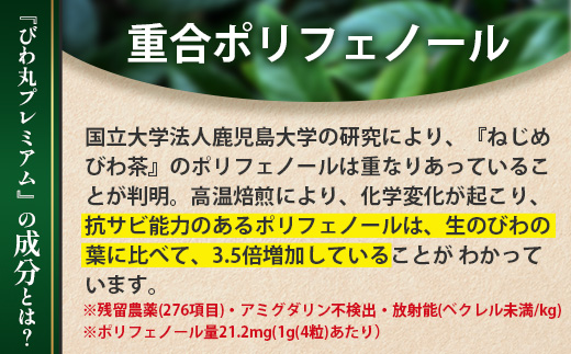 【定期便 全3回】≪3ヶ月連続で毎月お届け≫ びわ丸プレミアム ≪1回あたり(120粒入×1袋) ≫  健康補助食品 びわ茶含有加工食品  TO-10-NP| 国産 びわ茶 びわの葉 サプリメント 乳酸菌 ノンカフェイン ポリフェノール ネコポス 鹿児島県 南大隅町 十津川農場