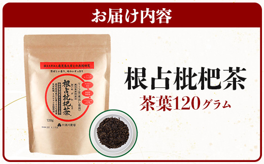 根占枇杷茶 茶葉  1袋（120g入）煮出し用 TO-17-NP | ねじめ びわ茶 国産 使い切り トルマリン石 焙煎 健康茶 お茶 煮だし 飲みやすい 香ばしい おいしい びわの葉 ネコポス 鹿児島県 南大隅町 十津川農場