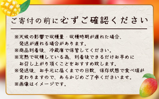 ≪先行予約・数量限定≫ ☆本土最南端☆佐多の果樹園で育てた 完熟アップルマンゴー 約800g ( 2玉 ) 【2026年7月上旬以降順次発送】 ST-406 ｜鹿児島県 南大隅 産地直送 旬 マンゴー フルーツ 果物 くだもの 