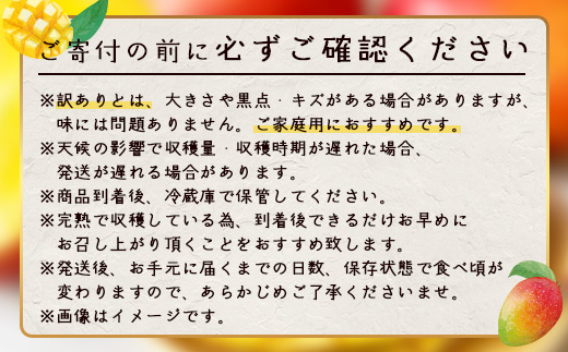 ≪先行予約・数量限定≫【訳あり】 ☆本土最南端☆佐多の果樹園で育てた 完熟アップルマンゴー約1kg (2～3玉) 家庭用【2026年7月上旬以降順次発送】 ST-409 ｜鹿児島県 南大隅 産地直送 旬 マンゴー フルーツ 果物 くだもの 