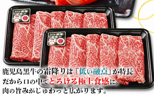 【鹿児島黒牛】ウデ スライス セット 約300g×2P JA-002 | 国産 国産牛 鹿児島県 牛肉 黒牛 黒毛和牛 和牛 ウデ スライス すき焼き しゃぶしゃぶ 冷凍 産地直送 南大隅町 JA鹿児島きもつき