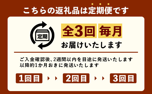 ［新春］【定期便全3回】かごしま黒豚熟成生ハム４種食べ比べ セット（約540g）NS-519 | 国産 肉 お肉 豚肉 豚 にく ぶた 生ハム 最高峰 熟成ハム コッパ パンチェッタ コッホサラミ スパイス サラミ 冷蔵 詰め合わせ 産地直送 ギフト プレゼント 贈り物 鹿児島県 南大隅町 南州農場