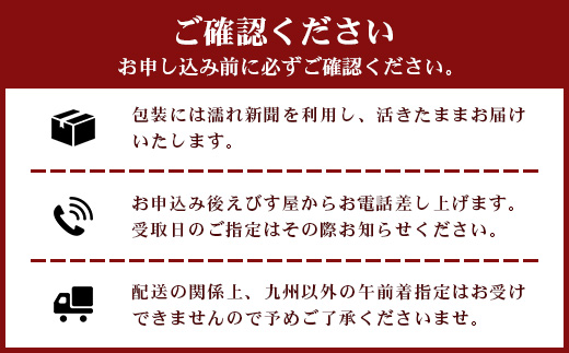 【先行予約】天然 活 伊勢海老 約1kg 2～3尾 ≪2025年11月下旬頃～2025年12月下旬頃順次発送予定≫  AB-501｜国産 えび 活イセエビ 伊勢エビ 常温