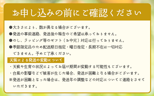 数量限定【先行予約・2025年12月～配送】大将季 約3kg (8～12個)  NT-504｜だいまさき 柑橘 みかん 果物 新鮮 産地直送 数量限定 先行予約 国産 鹿児島県 南大隅町