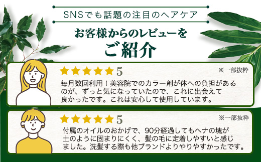 トゥルシー&ヘナ ブラック(染毛料)ホホバオイル付き BF-4｜ヘナ 染毛料 ブラック ヘアケア 髪 頭皮 キューティクル ボタニカノン BOTANICANON ケミカルフリー 鹿児島県 南大隅町 ボタニカルファクトリー
