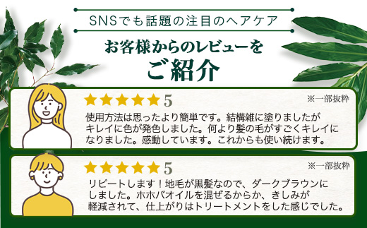 トゥルシー&ヘナ ナチュラルブラウン(染毛料)ホホバオイル付き BF-6｜ヘナ 染毛料 ナチュラルブラウン ヘアケア 髪 頭皮 キューティクル ボタニカノン BOTANICANON ケミカルフリー 鹿児島県 南大隅町 ボタニカルファクトリー