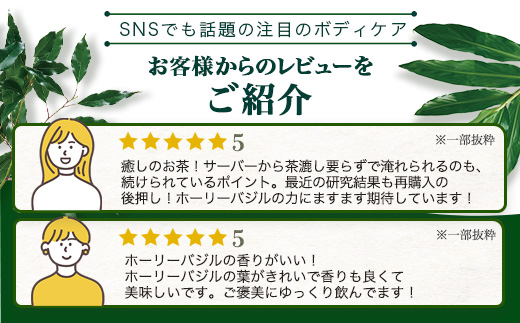 ホーリーバジル茶（30g×1個） BF-8｜ホーリーバジル 茶 ハーブティー リラックス ボタニカノン BOTANICANON ケミカルフリー 鹿児島県 南大隅町 ボタニカルファクトリー