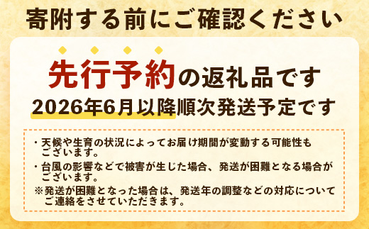 【先行予約・数量限定！】国産パイナップル　約3ｋg（3～5玉）～なか農園おまかせセット～ NK-001 ｜パイナップル パイン フルーツ 果物 くだもの 先行予約 数量限定 産地直送 新鮮 旬 ハワイ種 ピーチパイン ゴールドダイヤモンド ボゴール なか農園 鹿児島県 南大隅 