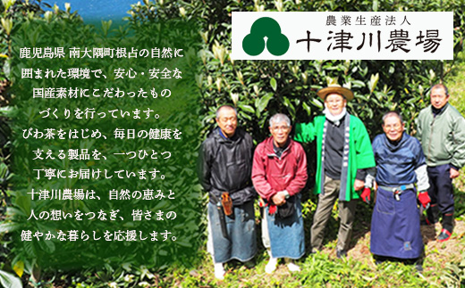 【お歳暮】【鹿児島県産】ねじめびわ茶 飲み比べ セット + びわ茶塩飴付き(化粧箱入) TO-406-os|ねじめびわ茶 ノンカフェイン ティーバック ボトル缶 飴 国産 お茶 健康茶 ポリフェノール 無香料 無着色 さわやか 甘み 香ばしい おいしい びわの葉 トルマリン石焙煎 産地直送 鹿児島県 南大隅町 十津川農場 お歳暮