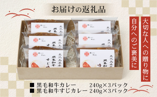 ［2種類］＼日本料理人の手作り／ 鹿児島県産 黒毛和牛レトルトパック 2種セット ≪合計6パック≫ カレー（240g×3パック）/すじカレー（240g×3パック） GN-7｜鹿児島県 南大隅町 あたためるだけ 黒毛和牛 牛すじ 牛肉 カレー おかず 時短 銀シャリ中はら