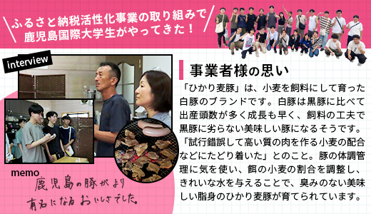 ［新春］【定期便全3回】ひかり麦豚定期便 ≪月替わりで楽しむ豚肉セット！しゃぶしゃぶ・ロース肉・焼肉セットをお届け！≫ 冷凍 HM-18 | 肉 お肉 にく 豚肉 精肉 焼き肉 焼肉 やきにく バーベキュー ロース肉 肩ロース バラ肉 生姜焼き とんかつ しゃぶしゃぶ 真空冷凍 産地直送 小分け パック 手作り 鹿児島県 南大隅町 ひかり麦豚直売所