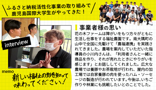 花の木農場【ハム詰め合わせセット】7種 計1,000g HK-501｜ハム ソーセージ 詰め合わせ セット ウインナー クラフトハム 国産 厳選 ノウフク 鹿児島県 南大隅町 第2花の木ファーム　