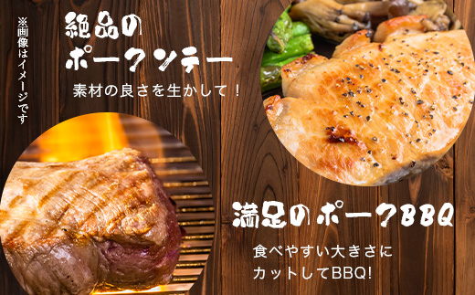 鹿児島県産 茶美豚 ロース セット とんかつ・トンテキ用 (300ｇ×3Ｐ) 計900g｜国産 豚肉 ぶた肉 精肉 茶美豚 ブランド肉 ロース 豚カツ トンテキ 冷凍 鹿児島県 南大隅町 JA-3