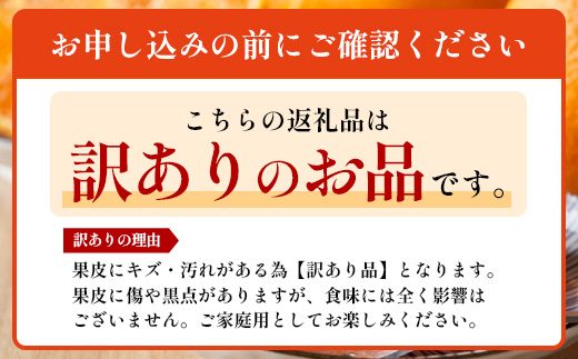 【数量限定・訳あり】しらぬい 約3㎏(10～12玉) MS-1｜不知火 柑橘 みかん ミカン 蜜柑 果物 生果 旬 フルーツ デコポン と同品種 国産 産地直送 家庭用 鹿児島県 南大隅町