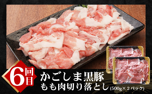 【全6回】極みの かごしま黒豚 定期便 NS-36| 鹿児島 かごしま 豚 豚肉 ぶた おかず しゃぶしゃぶ 餃子 味噌漬け 生ハム 生姜焼き ハンバーグ ウインナー ハム ソーセージ 焼き豚 切り落とし もも肉 肩ロース バラ 人気 贈答 ギフト定期便 鹿児島県 南大隅町