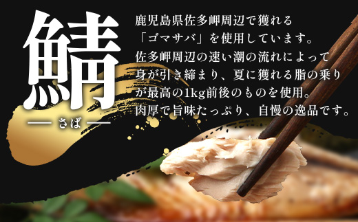 鹿児島県産 サバ 干物 (半身分1枚入り)×3パック ≪合計3枚≫ PT-4 | 開き 大隅干し 冷凍 国産 鯖 ごまさば ひもの 海鮮 新鮮 瞬間冷凍 産地直送 加工品 朝ご飯 おかず グルメ 鹿児島県 南大隅町 ピットスリー