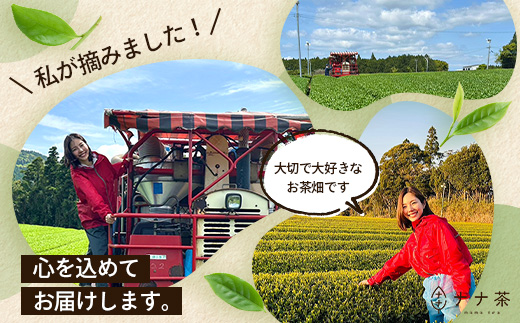 国産 ナナ茶 まるで抹茶 50g×1P 緑茶 粉末タイプ RS-6｜お茶 茶 日本茶 煎茶 ブレンド茶 お茶会 茶道 石臼挽き 鹿児島県 南大隅町 株式会社Re-Shine