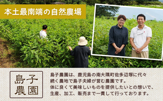 【福袋】紫菊芋たっぷり堪能３種セット SK-16-fb｜ コーヒー 菊芋 紫菊芋 コーヒー パウダー 菊芋せんべ ノンカフェイン 野菜茶 きくいも お茶 焙煎 ギフト グルメ 鹿児島県 南大隅町 島子農園 福袋