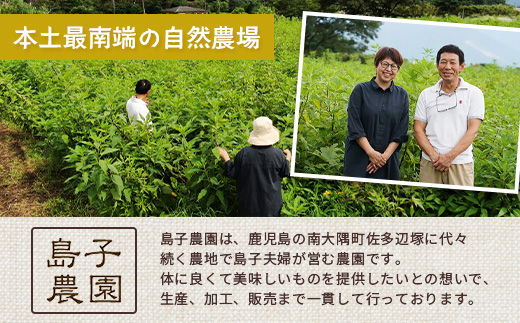 白色菊芋焙煎 パウダー （90g×1袋）SK-2｜ コーヒー 菊芋 パウダー ノンカフェイン 野菜茶 きくいも お茶 焙煎 ギフト グルメ お取り寄せ 鹿児島県 南大隅町 島子農園