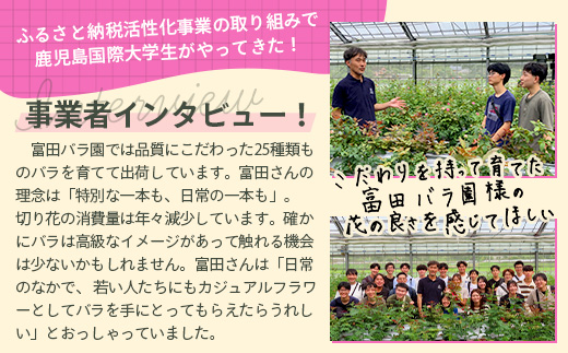 【先行予約・夏季限定 薔薇】ばら農家直送！バラ花束18本以上お届け(赤系) 【ギフト対応可】TB-1│ローズ 新鮮 花 フラワー 花束 ばら 薔薇 バラ 誕生日 記念日 結婚祝い ギフト プレゼント お祝い 贈り物 贈答 鹿児島県 南大隅町 富田バラ園