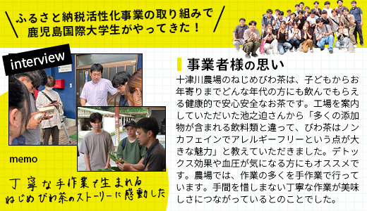 ［新春］【定期便12回連続・大人気２種セット】鹿児島県産 ねじめびわ茶 ティーバック（24包入×2袋）おひとりさま（7包入×2袋） TO-21-NP | 国産 お茶 健康茶 ポリフェノール ノンカフェイン 無香料 無着色 さわやか 甘み 香ばしい おいしい びわの葉 トルマリン石焙煎 産地直送 鹿児島県 南大隅町 十津川農場