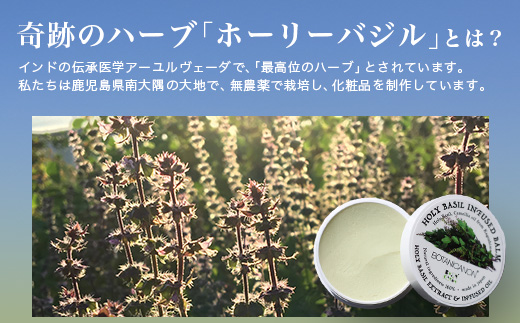 【100％自然由来】インフューズドバーム（25g×1個） BF-518 │美容 化粧品 ホーリーバジル ハーブ 抗菌 抗ウイルス 乾燥肌 敏感肌 肌荒れ 潤い ハリ 弾力 スキンケア ハンドケア ハンドクリーム リップケア リップクリーム ヘアケア ボタニカノン BOTANICANON ケミカルフリー 鹿児島県 南大隅町 ボタニカルファクトリー