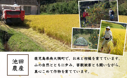 お米 ≪令和7年産≫ あきほなみ (5kg) 南大隅町 辺塚産 AL7607｜鹿児島県 南大隅 白米 米 こめ コメ 5キロ ご飯 大自然のお米 国産 産地直送 送料無料 