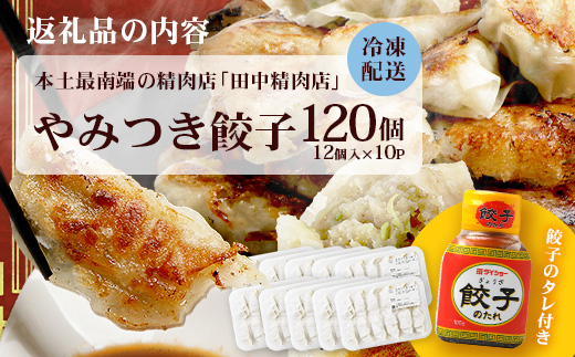 《リピーター続出！》佐多の田中肉屋 ニンニクたっぷりやみつき餃子 120個（12個入り×10パック） 餃子のタレ付き TA-402 | ぎょうざ 餃子 ギョウザ 豚肉 ひき肉 にんにく スタミナ餃子 焼くだけ 簡単 小分け 大容量 手作り お惣菜 おかず 冷凍 鹿児島県 南大隅町 田中精肉店